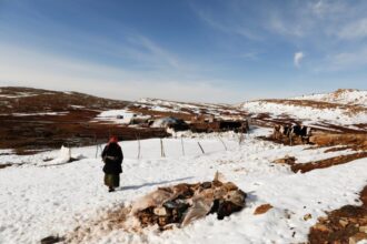 الجزائر تعلق الدراسة يومي الأربعاء والخميس تحسبًا لعاصفة رياح قوية