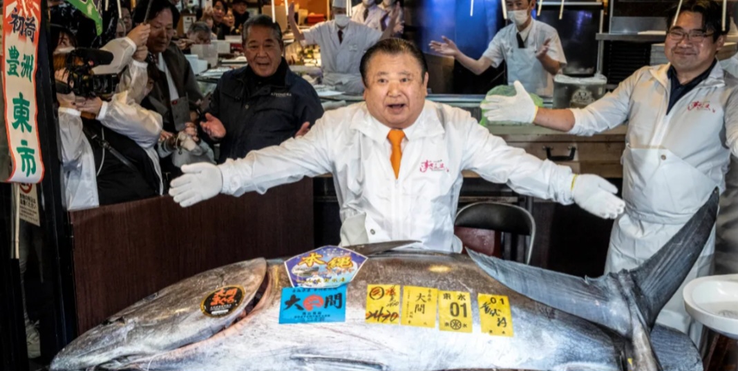 صورة حول : بيع سمكة تونة بـ 3.2 ملايين دولار في طوكيو بيع سمكة تونة بـ 3.2 ملايين دولار في طوكيو