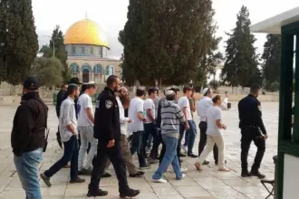 بحماية الاحتلال...عشرات المستوطنين يقتحمون الأقصى