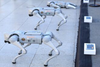 كلاب روبوتية لدعم الشرطة المكسيكية خلال مونديال 2026