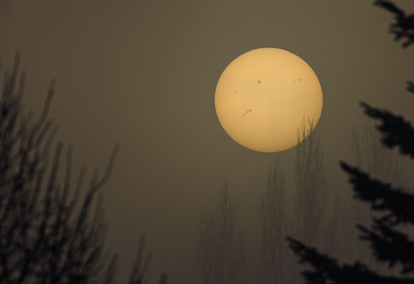 صورة حول : كيف تدور الشمس حول محورها وهل سرعتها ثابتة؟ كيف تدور الشمس حول محورها وهل سرعتها ثابتة؟