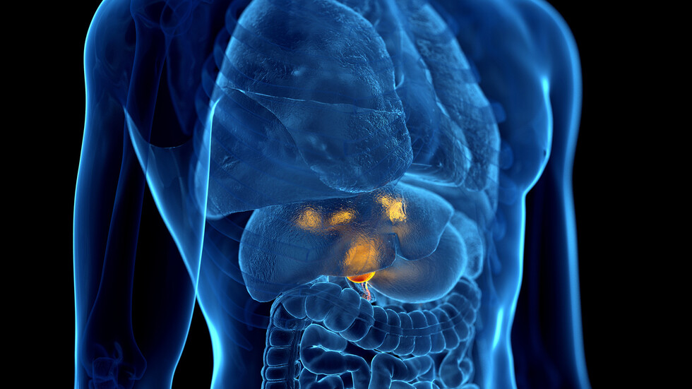 صورة حول : نقل الأحماض الصفراوية يفتح آفاقًا علاجية جديدة نقل الأحماض الصفراوية يفتح آفاقًا علاجية جديدة