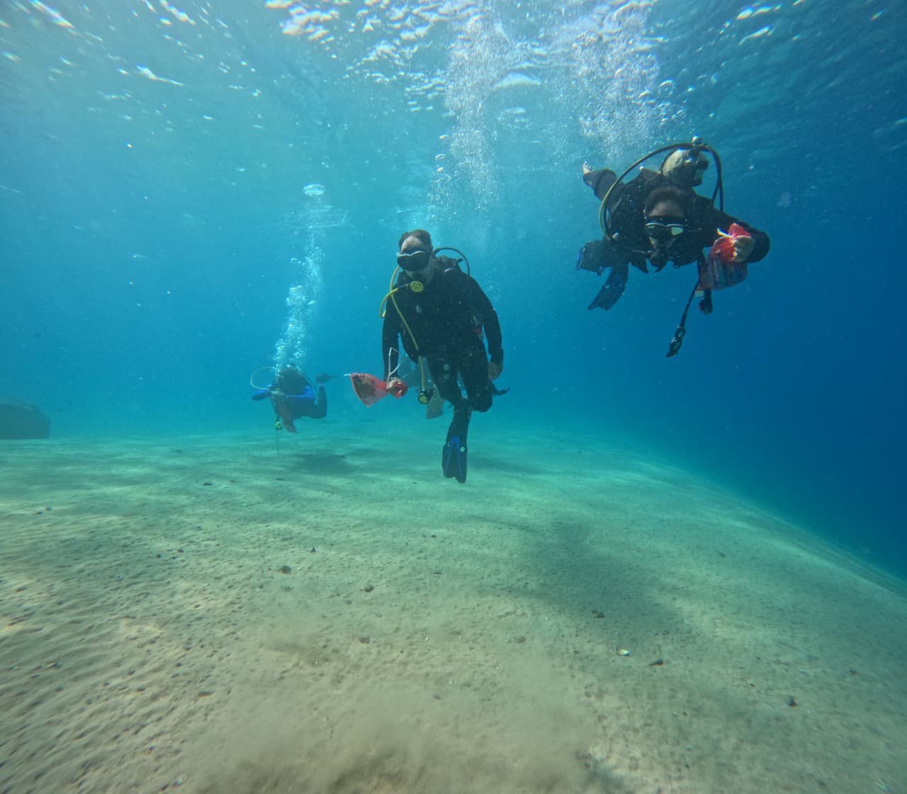 صورة حول : حملة مستمرة لحماية البيئة البحرية في العقبة بمشاركة الدفاع المدني حملة مستمرة لحماية البيئة البحرية في العقبة بمشاركة الدفاع المدني