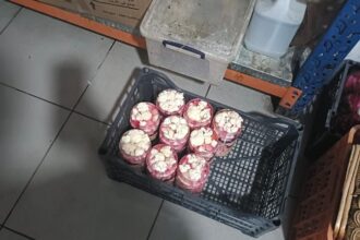 الغذاء والدواء تنفذ 267 جولة رقابية يوم أمس .. صور