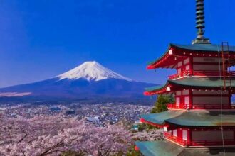 بلدة يابانية تلغي مهرجان أزهار الكرز بسبب الإزعاج