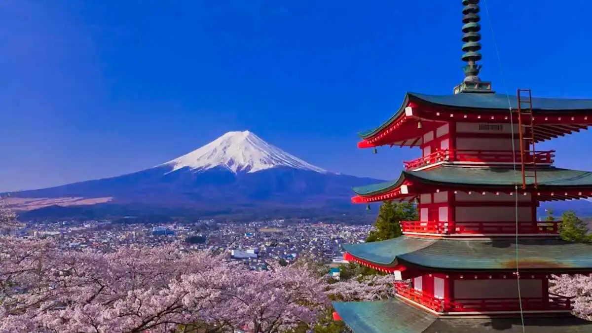 بلدة يابانية تلغي مهرجان أزهار الكرز بسبب الإزعاج