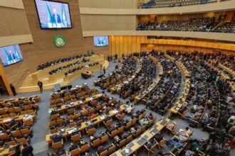 القمة الأفريقية تدعم فلسطين وتطالب بعضويتها الكاملة بالأمم المتحدة