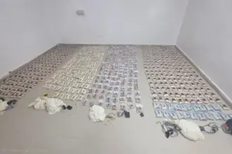 القضاة : انخفاض القضايا يعكس نجاح الاستراتيجية الأمنية