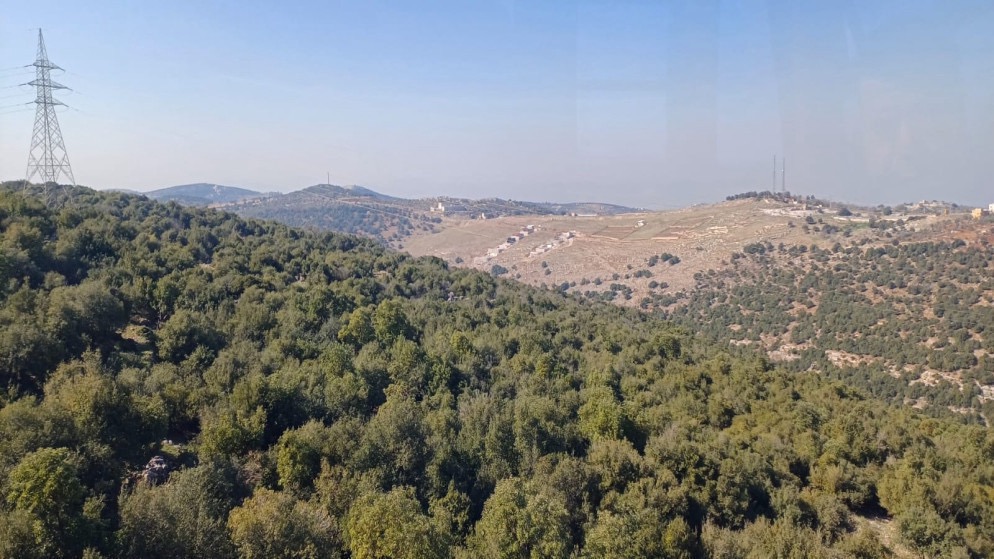 صورة حول : دعوات لمسؤولية مجتمعية شاملة وتوظيف التكنولوجيا لحماية الثروة الحرجية دعوات لمسؤولية مجتمعية شاملة وتوظيف التكنولوجيا لحماية الثروة الحرجية