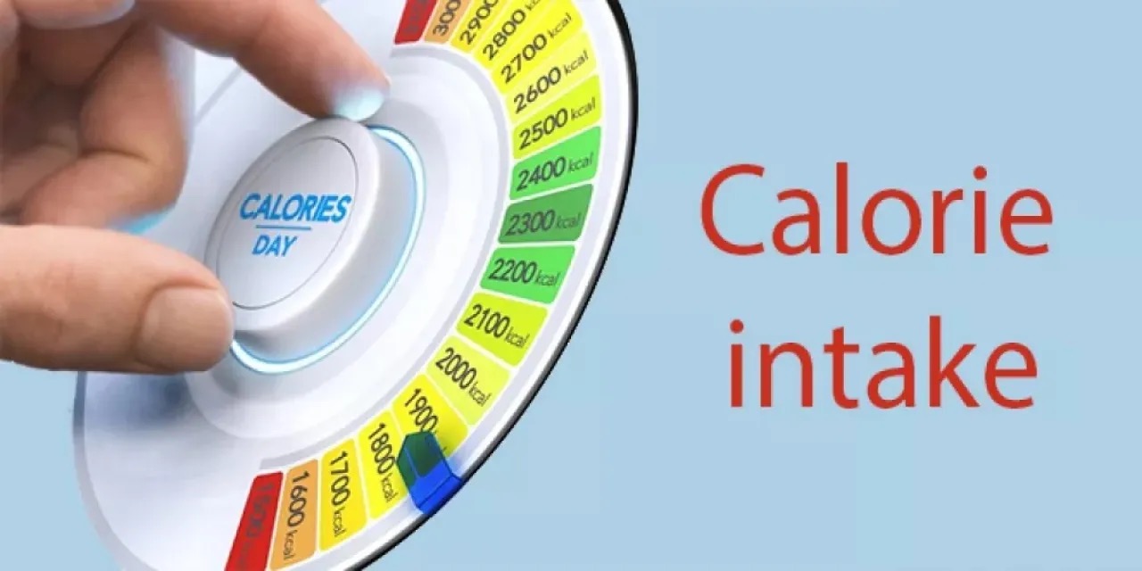 صورة حول : خلف المتوسطات الحسابية.. لماذا يحتاج الرجال سعرات حرارية أكثر من النساء؟ خلف المتوسطات الحسابية.. لماذا يحتاج الرجال سعرات حرارية أكثر من النساء؟