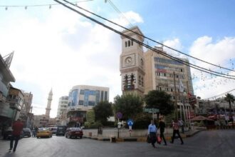 إربد: إزالة 23 بسطة مخالفة وتوقيف محال غير ملتزمة بالسلامة العامة