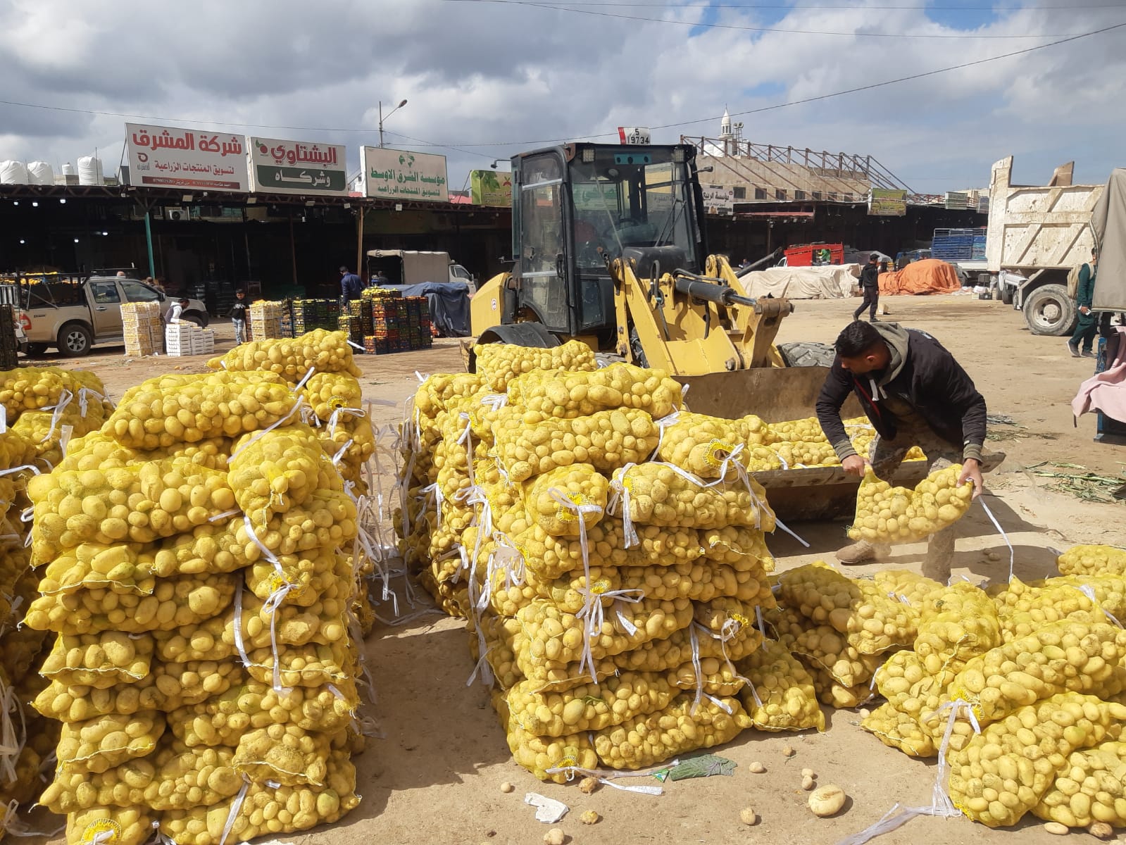 إتلاف 7 أطنان بطاطا و390 كيلو موز فاسد في إربد خلال رمضان