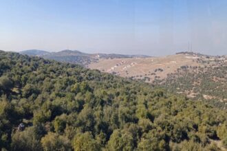 ارتفاع مساحة المحميات الطبيعية في المملكة إلى 4,767 كم² مع استمرار تحديات الغابات والحرائق