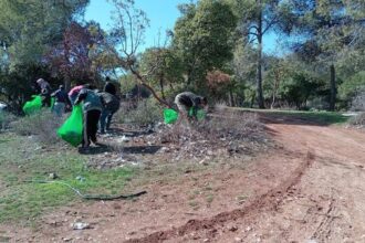 حملات بيئية شاملة لتعزيز الوعي والنظافة في المملكة