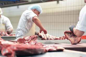 "مربي المواشي": أسعار اللحوم مستقرة في رمضان ولا داعي للتهافت