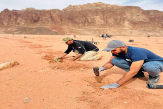 وادي رم يكتسي خضرة جديدة: 1000 شتلة أصيلة لتعزيز الاستدامة البيئية