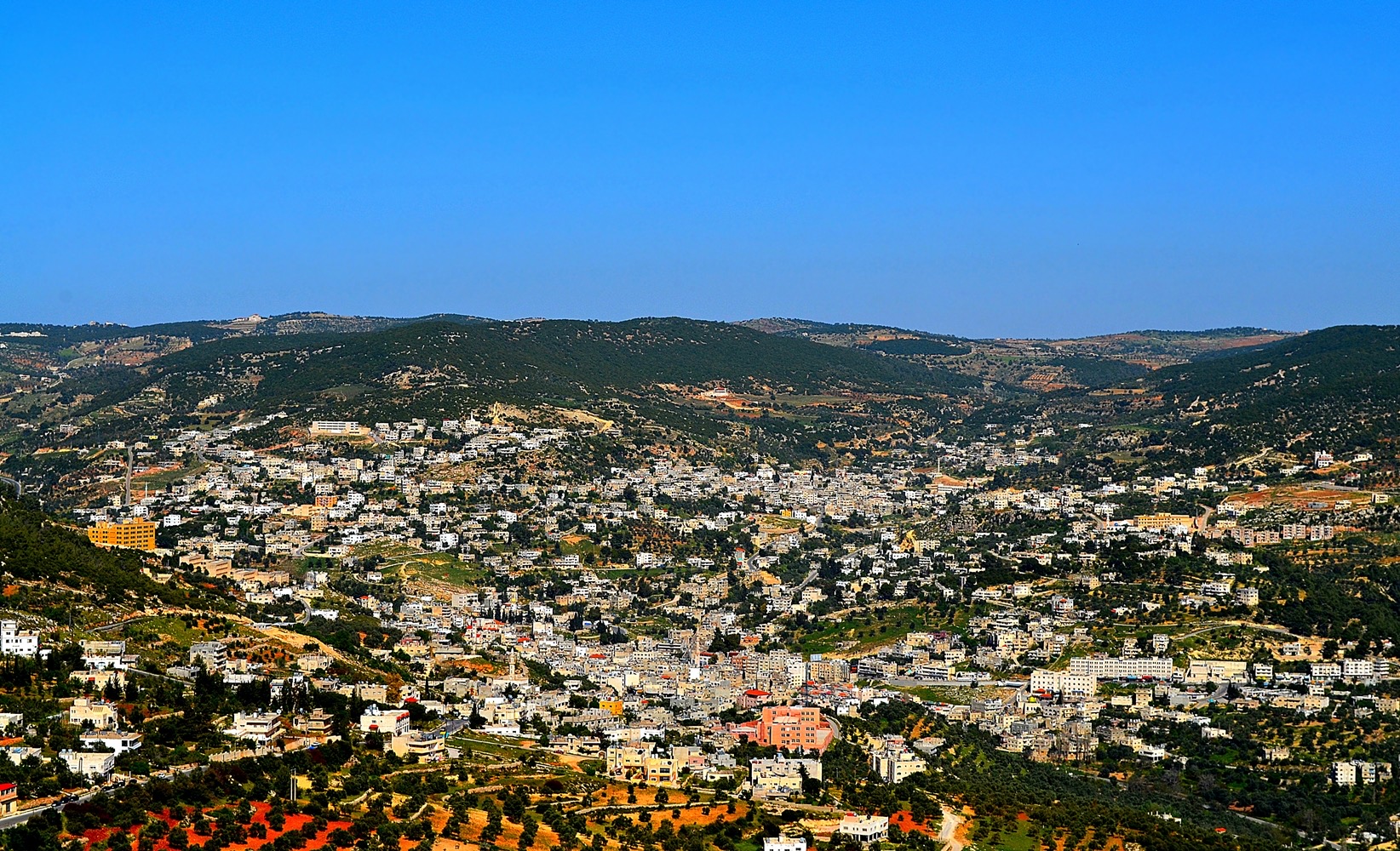 أكاديميون وفعاليات في عجلون يدعون لتكثيف التوعية ضد المخدرات