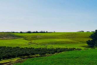 آلاف المتنزهين يتوافدون إلى مواقع إربد السياحية في آخر جمعة قبل رمضان