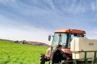 زراعة إربد تواصل حملة الرش للمحاصيل الحقلية لمكافحة آفة دودة الزرع