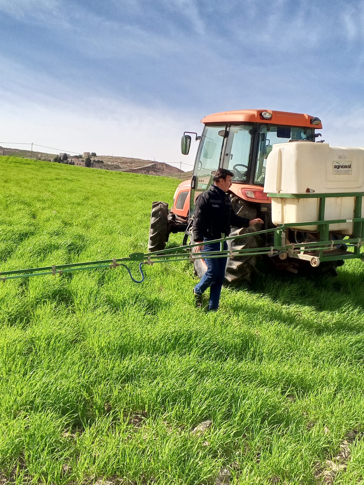 زراعة إربد تواصل حملة الرش للمحاصيل الحقلية لمكافحة آفة دودة الزرع