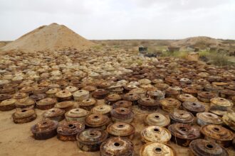 الأردن يعلن إتمام إزالة الألغام منذ 2012 ويستمر بدعم المصابين اقتصادياً واجتماعياً