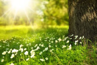 طقس العرب: ارتفاع قياسي بالحرارة الاثنين وانقلاب جوي الثلاثاء