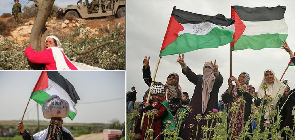 الاحتلال يشرع قانوناً يتعلق بالأراضي الفلسطينية