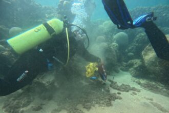 حملة مستمرة لحماية البيئة البحرية في العقبة بمشاركة الدفاع المدني