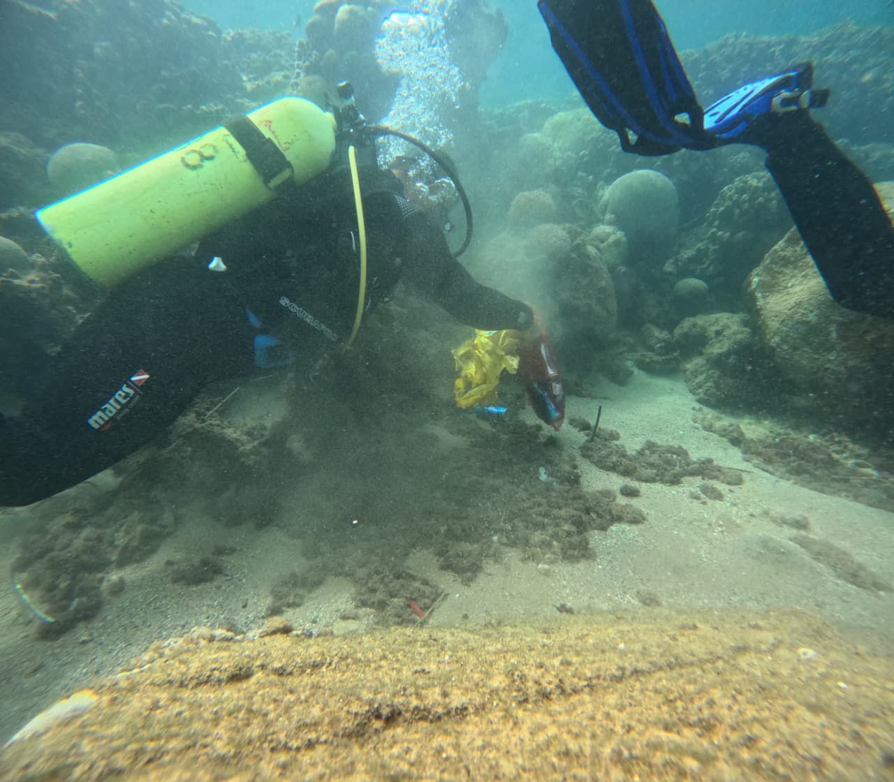 صورة حول : حملة مستمرة لحماية البيئة البحرية في العقبة بمشاركة الدفاع المدني حملة مستمرة لحماية البيئة البحرية في العقبة بمشاركة الدفاع المدني