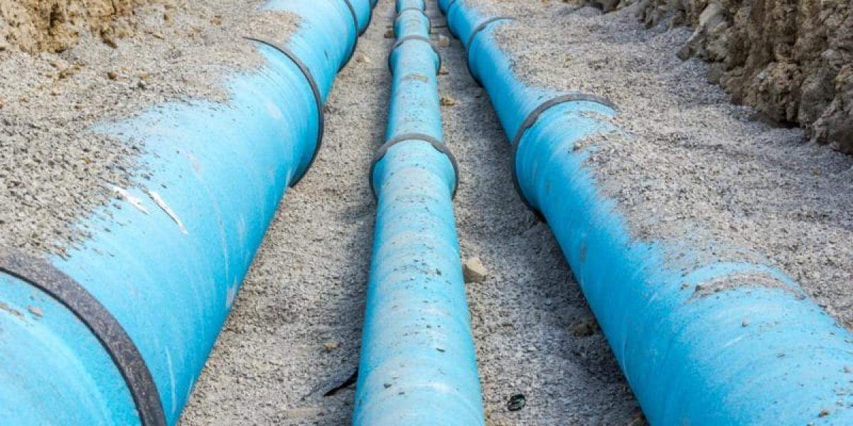 الحكومة تؤكد التزامها بالمعايير البيئية لمشروع الناقل الوطني