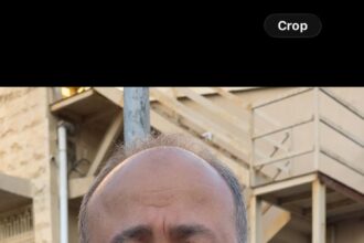 خمسة عقود مقاربة بين الحرف والرصاصة.