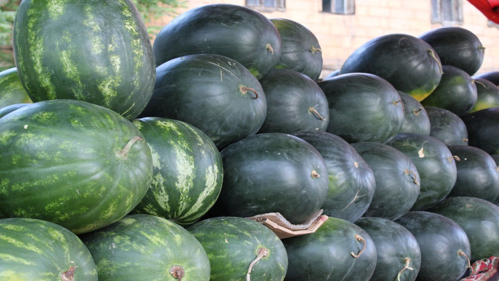 عاجل |ً أمانة عمّان تبدأ استقبال طلبات تصاريح بيع البطيخ والشمام إلكترونيًا