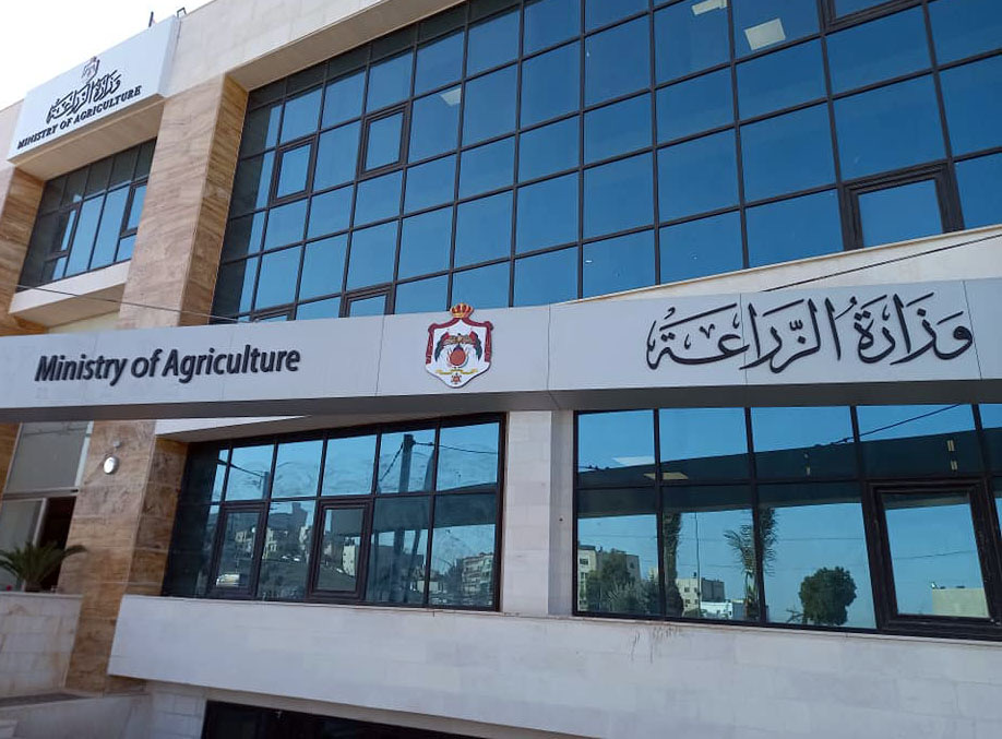 وزارة الزراعة تستأنف استيراد اللحوم الطازجة من دمشق لتعزيز الأمن الغذائي