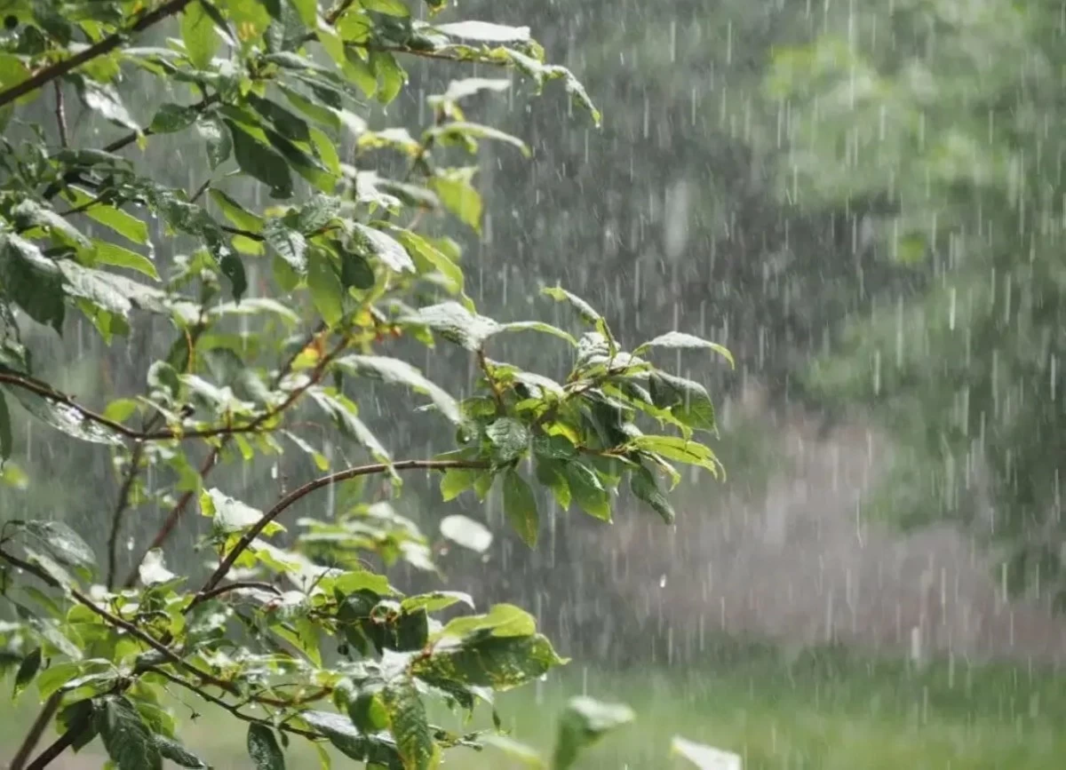 صورة حول : الأرصاد تحذر من أمطار رعدية غزيرة أحياناً في شرق وجنوب المملكة الأرصاد تحذر من أمطار رعدية غزيرة أحياناً في شرق وجنوب المملكة