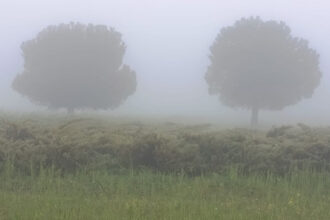 أمطار خفيفة إلى متوسطة في مناطق متفرقة