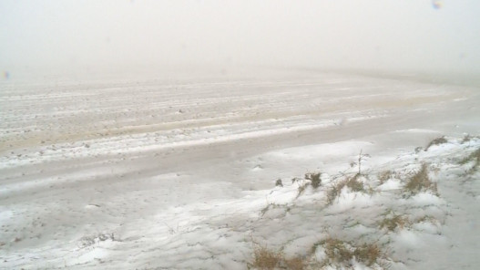 ثلوج وبرد في الطفيلة تُغلق طرقًا جزئيًا وتُعيق الحركة المرورية