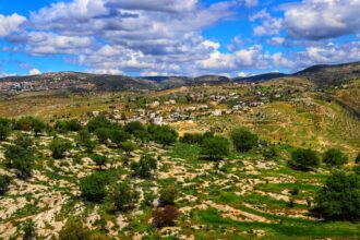 أمطار عجلون تنعش الزراعة وتعزز آمال موسم إنتاجي وفير