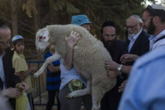 محافظة القدس تحذر من محاولات إدخال قرابين للأقصى خلال “الفصح”