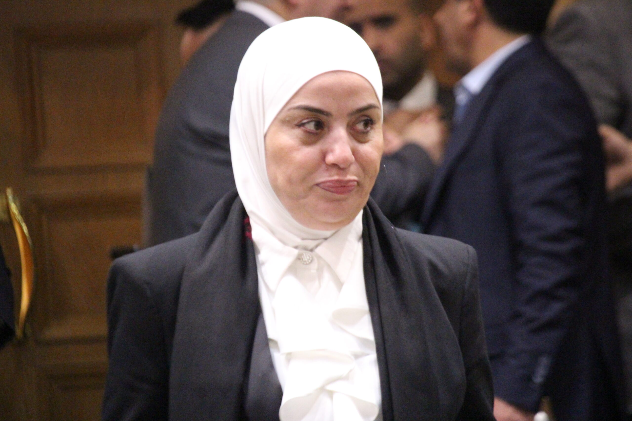 النواب يستكملون مناقشة قانون عقود التأمين