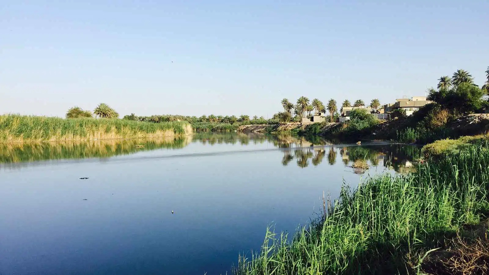 رحلة استجمام انتهت بمأساة.. وفاة إمام عراقي غرقا في نهر ديالى