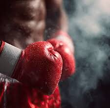 محكمة الجنايات الكبرى تصدر حكمها ضد الملاكم المتورط في جريمة قتل بالزرقاء