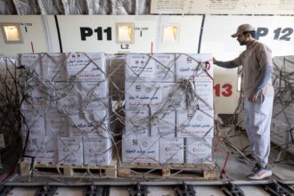 بدعم من وكالة الإمارات للمساعدات الدولية .. آلاف الطرود الإماراتية تصل العريش للتخفيف من معاناة أهل غزة