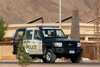 بين كلاب ضالة وعنف بشري.. نهاية مأساوية لـ"طفلي القمامة" في مصر