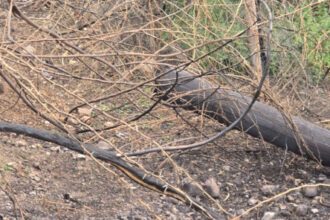 سقوط شظايا يقطع الكهرباء بالأغوار الشمالية
