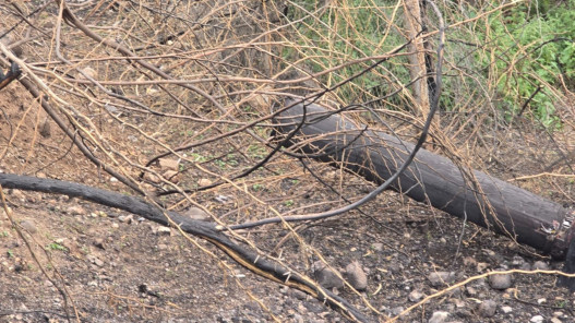 سقوط شظايا يقطع الكهرباء بالأغوار الشمالية
