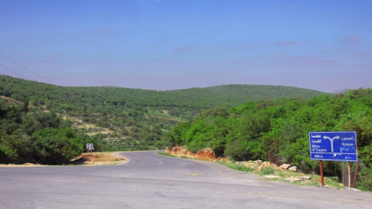 عجلون تؤكد: الوحدة الوطنية سلاح الأزمات