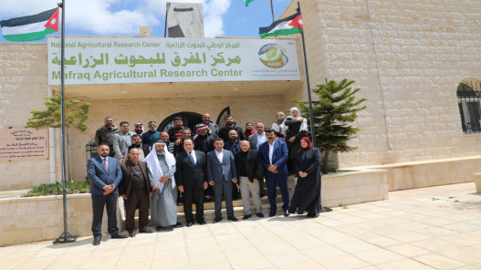 دعم صغار المربين لتعزيز الأمن الغذائي