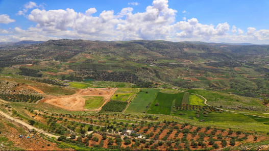 صورة حول : عجلون تزدهر سياحياً مع موسم الربيع عجلون تزدهر سياحياً مع موسم الربيع