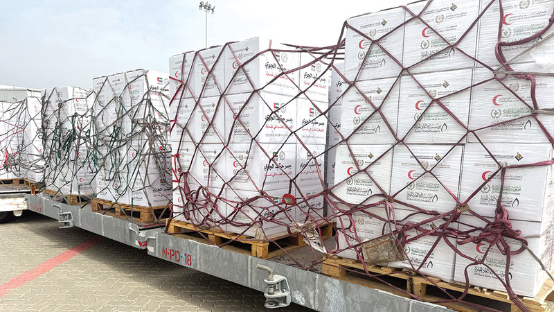 الإمارات ترسل 100 طن مساعدات لغزة عبر العريش