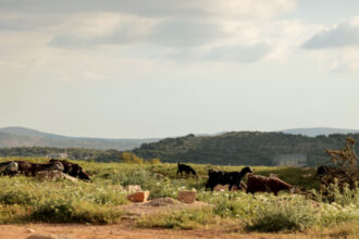 طقس مشمس ولطيف الاثنين وارتفاع تدريجي على الحرارة حتى نهاية الأسبوع